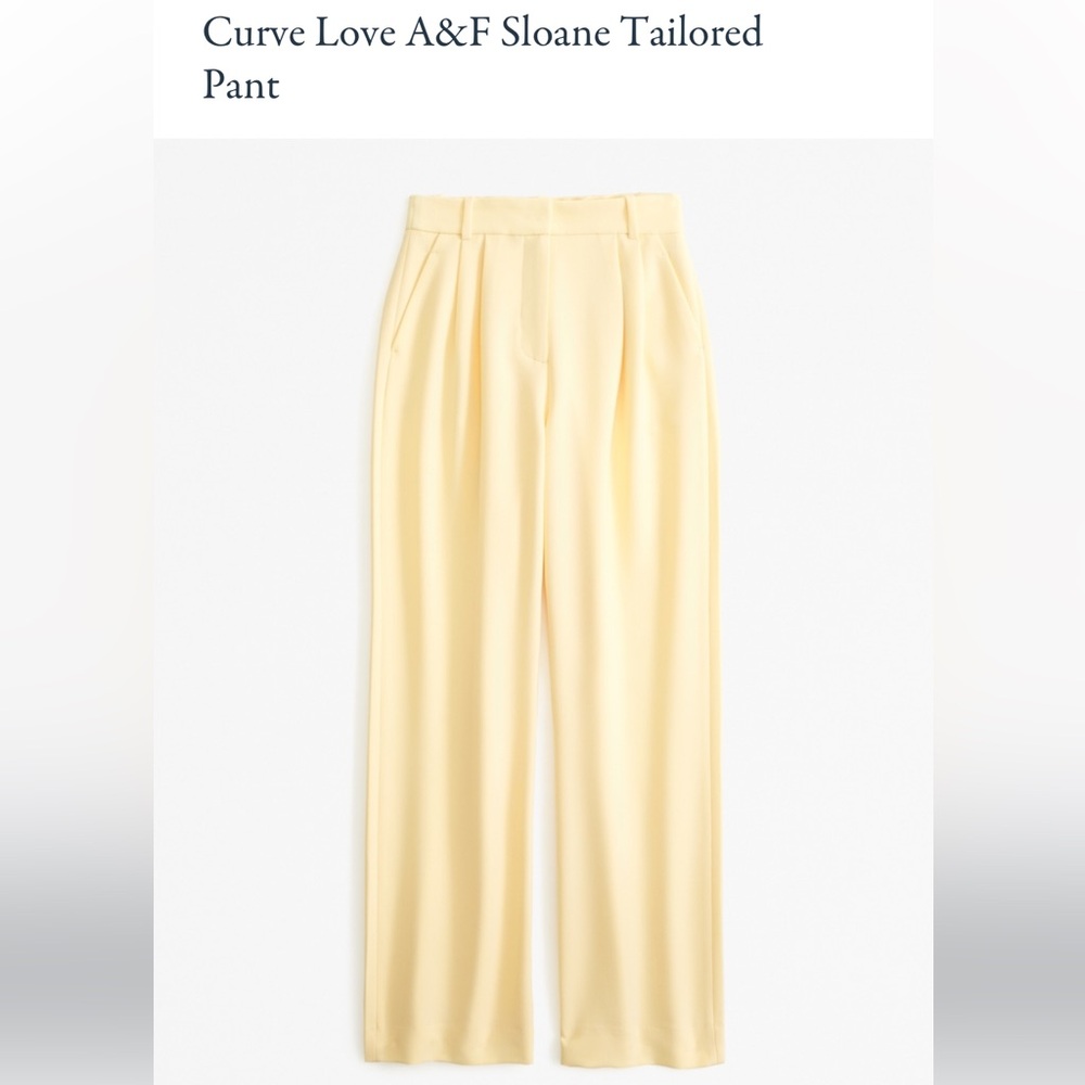 BRAND NEW NEVER WORN Abercrombie Curve Love Sloan Trouser Pants
